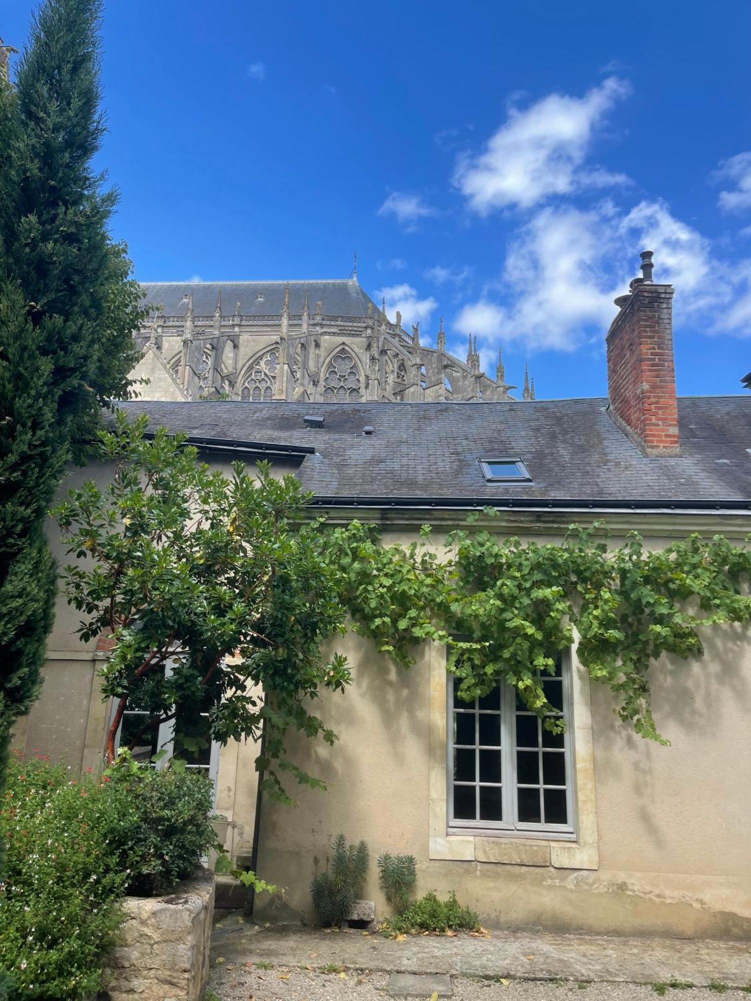 Guest house D'hote - Maison Des Ecrivains - 50 M De La Cathedrale Et Place Des Jacobins *